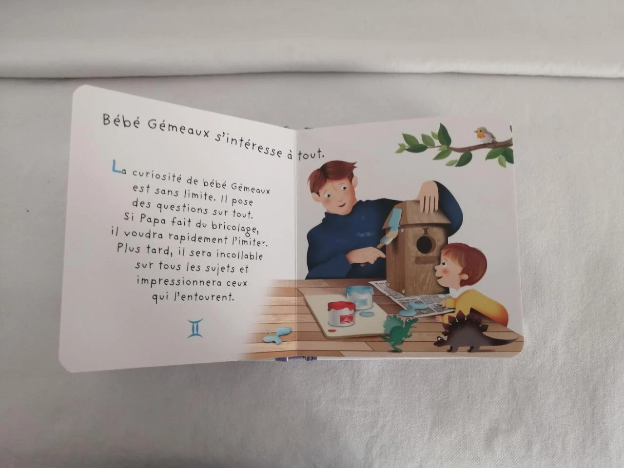 livre enfant - l'imagerie astro bébés gémeaux – photo 3